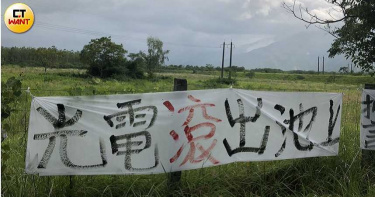 搶救台東美景1/池上樟香綠廊走味 鄉民抗光電搶救金城武樹