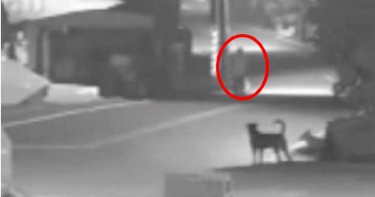 台南路倒男遭兩車輾斃 前車肇事駕駛為「穿山甲」詹龍欄姪子