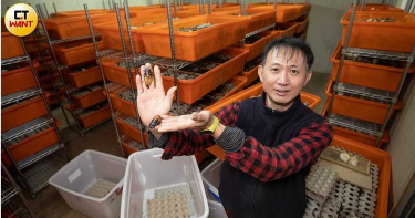 【蟑螂大亨1】養小強致富 年營收400萬
