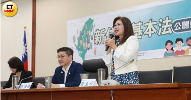 民眾黨立委麥玉珍表示，《新住民基本法》應該作為母法，依循母法制定其他相關的子法和條文，才能形成有系統的法律架構。（圖／周志龍攝）