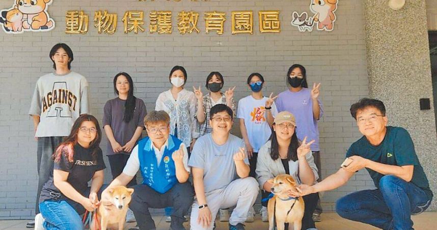 上月有飼主在新竹縣惡意棄養16隻柴犬，目前犬隻健康狀況良好。（圖／新竹縣府提供／中國時報邱立雅竹縣傳真）