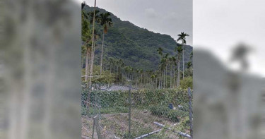 妙齡女遭男子擄走多日 今遭槍殺棄屍三峽山區