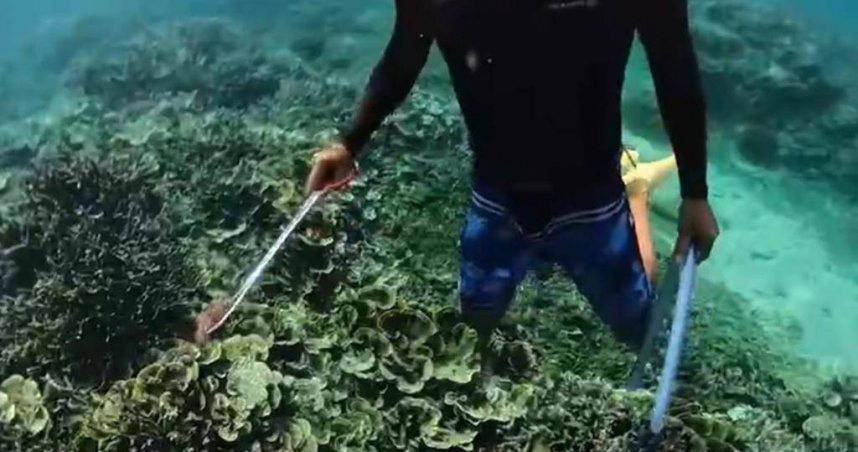 海保署感謝熱情民眾參與棘冠海星行動。（圖／澎湖縣水域遊憩活動商業同業公會提供）