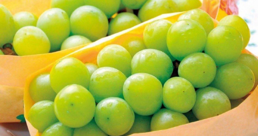 （圖／翻攝自社群平台X）