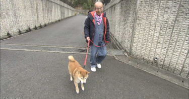 《天才!志村動物園》首登台 重現志村健溫暖身影