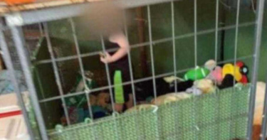 1歲半男童「與巨蟒關狗籠」!迫和700隻動物生活「屎尿味瀰漫」