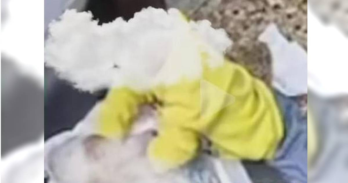 2andahalfyearold boy covers sister's face with pillow A