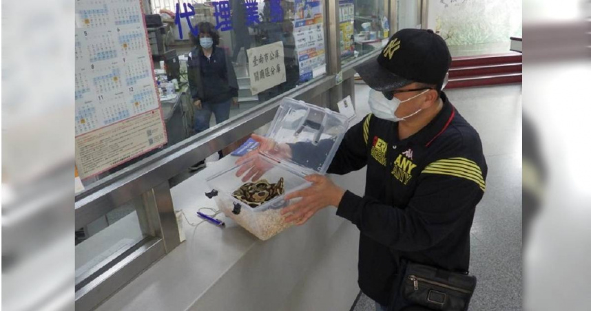 台南歸仁警分局進行防搶演練時，使用同仁飼養的寵物蛇，令圍觀民眾驚呼連連。（圖／翻攝畫面）