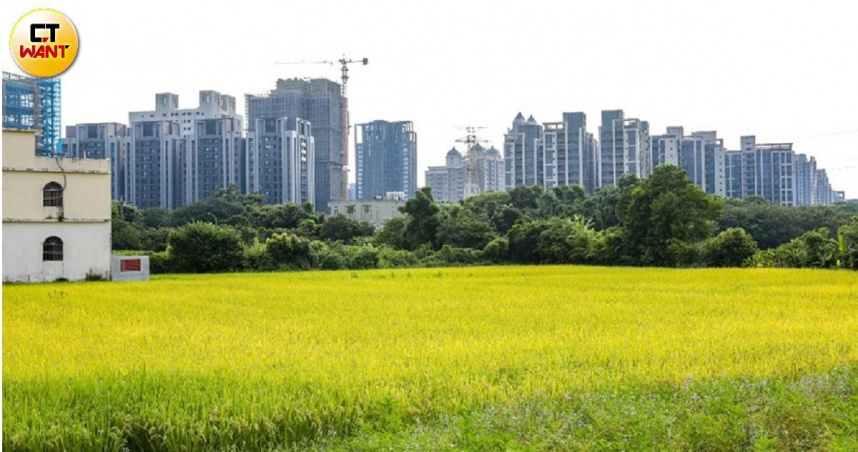 新竹縣竹北市隨著竹科發展紅利，地價水漲船高，不少地主在重測土地鑑界時引發爭議。圖非當事土地。（示意圖／黃耀徵攝）