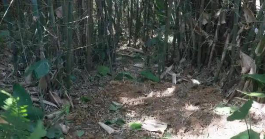 大陸廣西自治區柳城縣一名村民近日在河背屯竹林挖蚯蚓時，意外發現一面保存完好的千年銅鼓。（圖／翻攝自南國今報）