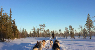 （示意圖／Pexels）