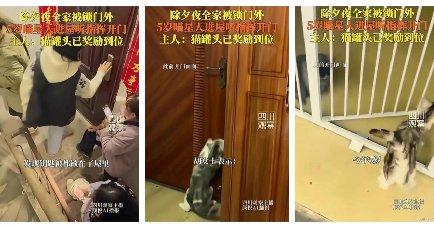 湖北一家人除夕夜忘帶鑰匙，被鎖門外，最後靠5歲愛開門的貓成功解圍。（圖／翻攝自四川觀察）