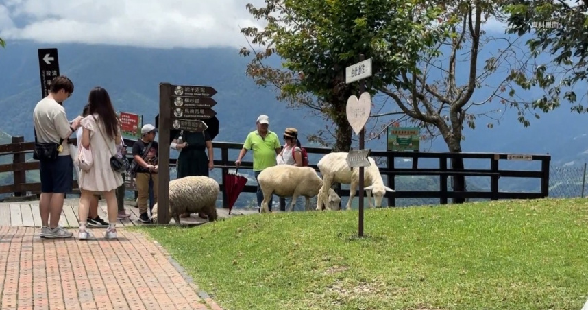 南投清境農場過去被許多人視為一生必訪的旅遊景點。（圖／東森新聞）