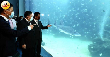 橫浜八景島海外首站桃園Xpark開幕 水族館門票創線上20萬報名紀錄
