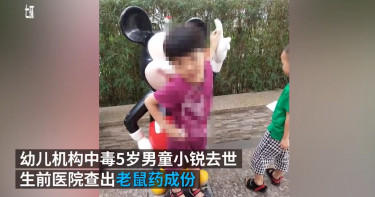 男童吃完學校午餐腹痛嘔吐!送醫後16天亡 尿液竟驗出老鼠藥