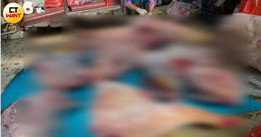 流浪動物珍愛協會18日會同公部門與保七總隊前往苗栗頭份山區進行稽查，查獲總重約800公斤的野生動物肉品與疑似流浪犬隻肉品。（圖／林冠吟攝）