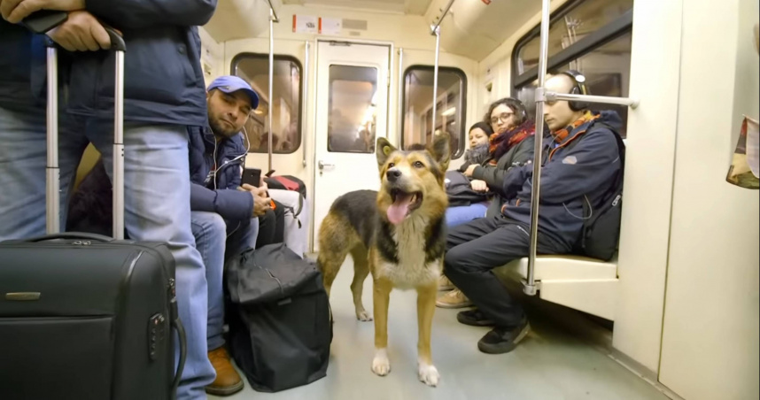 （圖／翻攝自YouTube）