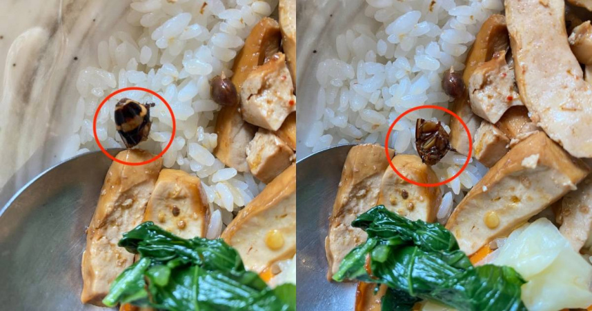 民眾吃君悅排骨吃到蟑螂頭。（圖／翻攝臉書／爆料公社公開版）