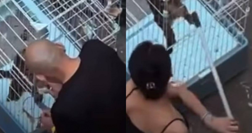 新竹驚傳虐貓事件！男女「鎖籠持桿猛戳」　畫面曝光引撻伐