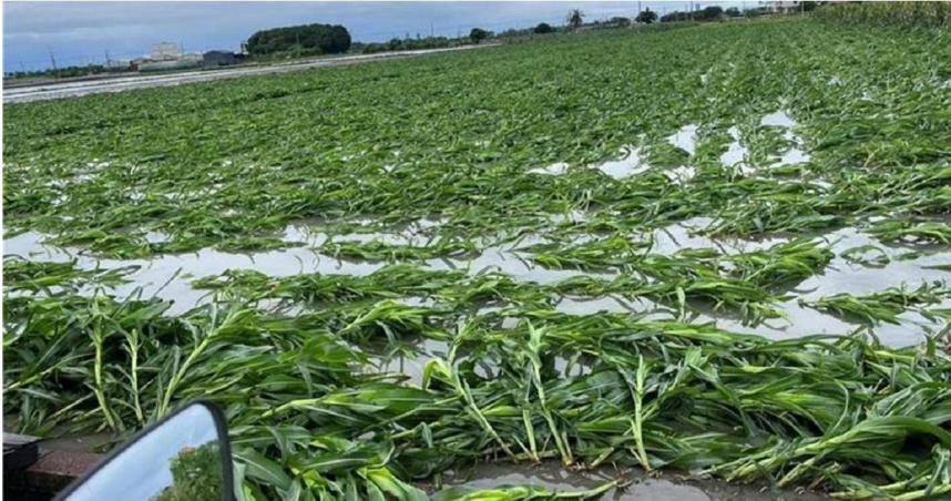 中颱丹娜絲重創中南台灣，行政院指示賑災基金會啟動「114年丹娜絲風災募款專案」。（圖／本報資料照）