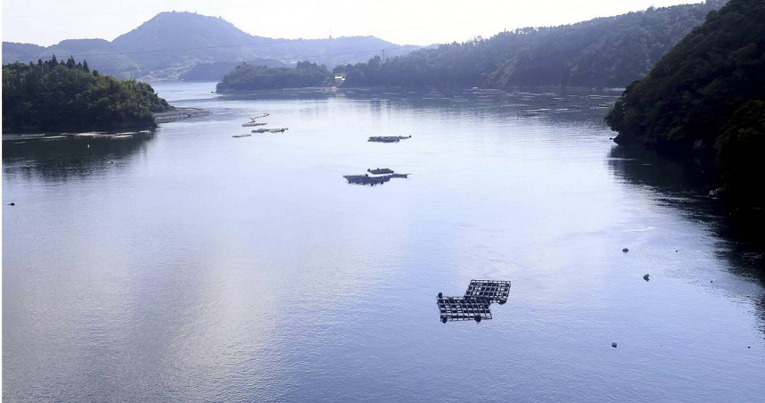 日本宮城縣氣仙沼市的牡蠣養殖筏，因堪察加半島地震引發的海嘯而傾覆，繩索被沖斷。（圖／達志／美聯社）