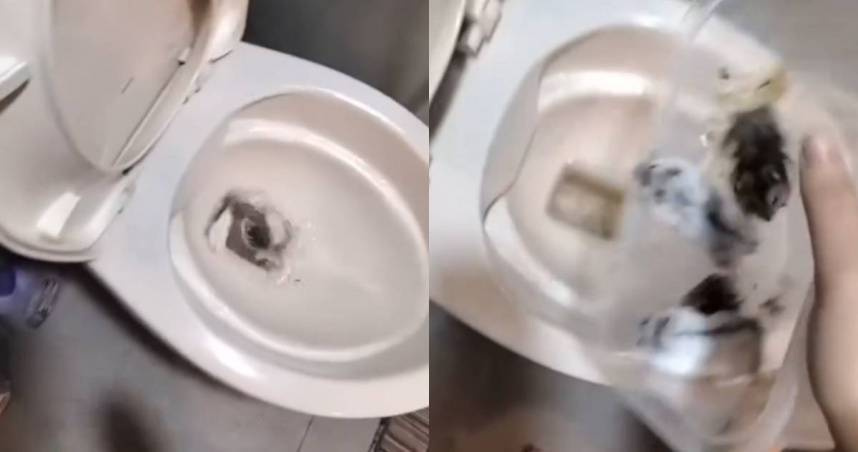 一名泰籍女子把10隻小倉鼠丟馬桶沖掉，還將影片放上網路。（圖／翻攝自Threads＠taifang0516）