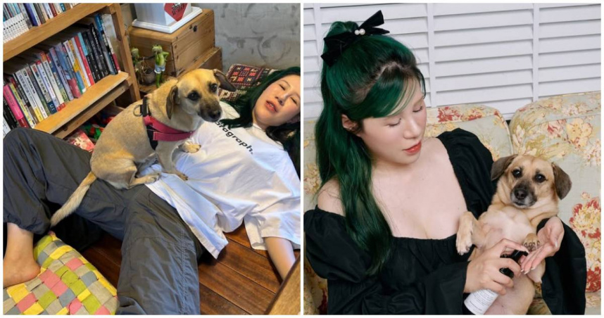 網紅「丹妮婊姐」昨（27）日在看到協助受難動物的志工群組看到求援訊息，立刻行動採買物資，並宣告今（28）天就直接驅車將物資送往花蓮。（圖／翻攝IG／dannybeeech）