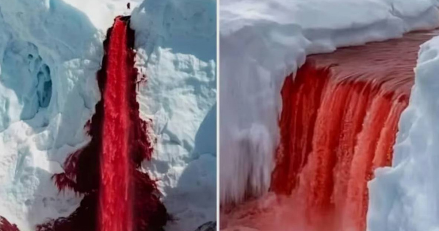 南極泰勒冰川（Taylor Glacier）的「血瀑布」因血紅色水流聞名，百餘年來吸引全球科學家研究。（圖／翻攝自X，@AmazingNature00）