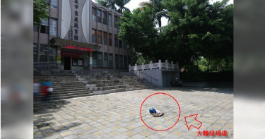 嘉義小貓被人為肢解引眾怒