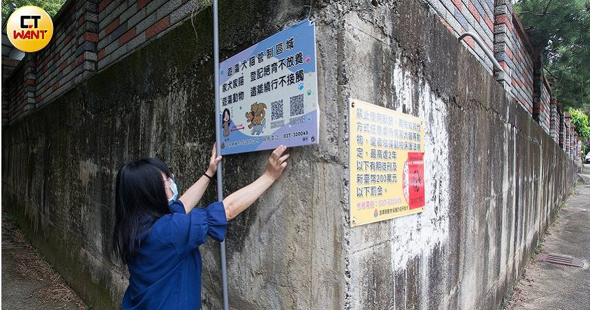 動保人士林小姐面對當地2隻TNVR貓遭誘捕，質疑過程不合程序且違背農業部政策。（圖／CTWANT提供）