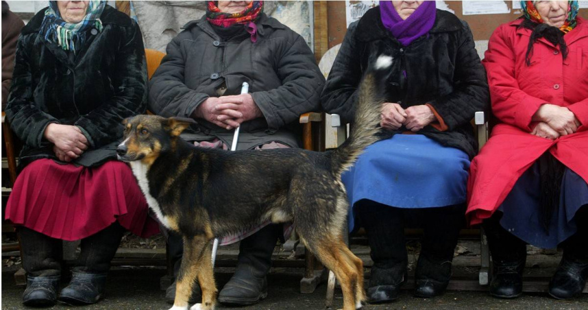 裝扮成俄國奶奶的刺客出現在高層軍工主管座車旁，企圖埋設炸彈，隨即遭俄國特勤人員制伏。（示意圖／達志／美聯社）