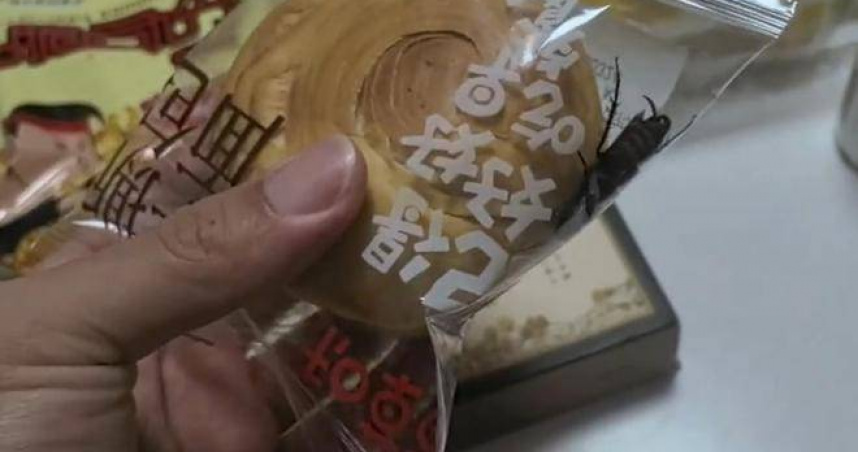 大陸一間知名麵包店的袋裝麵包中，被消費者發現有活蟑螂，拍照PO網引發熱議。（圖／翻攝自微博／極目新聞）