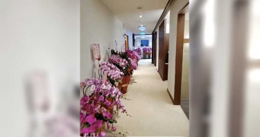 【大蘇用人學5】祝賀花籃如花博 急問「總統的來了沒?」