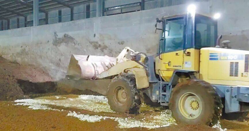 彰化縣府經彰化檢方同意，將文雅畜牧場封存的25萬顆雞蛋全數銷毀，畜牧場雞隻部分目前暫無撲殺計畫。（圖／民眾提供／李京昇彰化傳真）