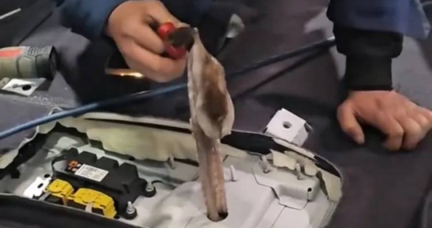 維修人員拆開車內扶手箱，夾出已腐臭的章魚屍體。（圖／翻攝新浪新聞）