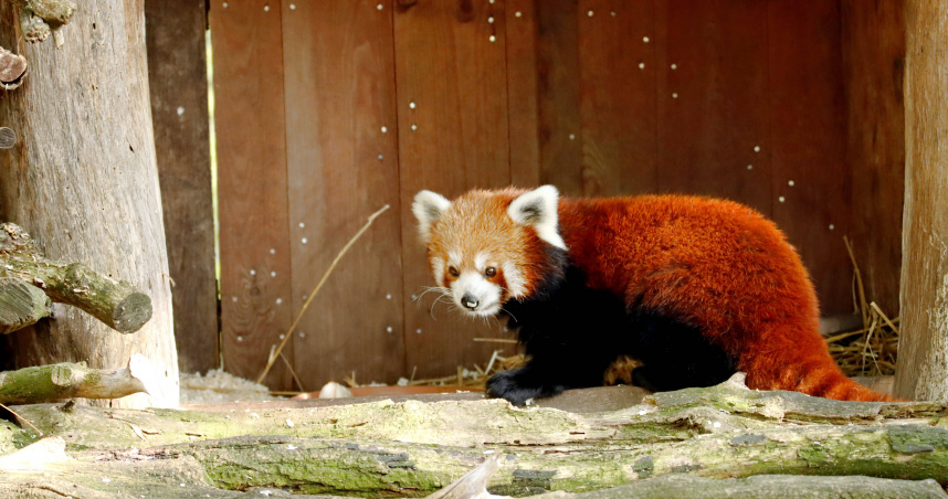 （示意圖／Pexels）