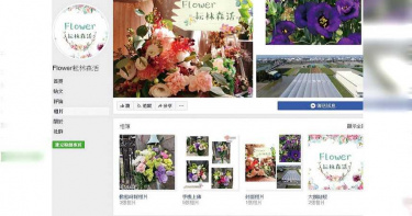 【蝴蝶蘭悲歌5】等不及紓困 文心蘭、洋桔梗外銷農上臉書呼救