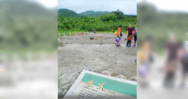 出火風景區浪浪抓狂 遊客遭攻擊滿臉血