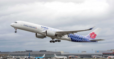澳洲蜜蜂遠赴加拿大為果樹受粉 華航派空中巴士A350-900接駁