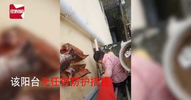 媽指使男童高空陽台外撿魚 網諷:兒子可以再生醃魚不行