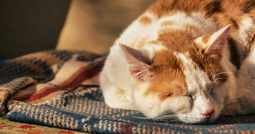 （示意圖／pixabay）