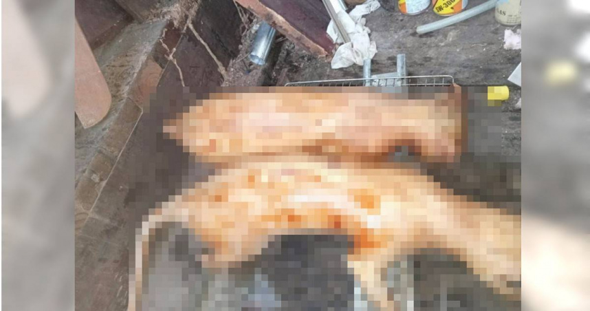 動保團體發現越南盜獵團在中南部到處獵捕流浪貓狗，分工細膩，產業鏈發展成熟。（圖／民眾提供）