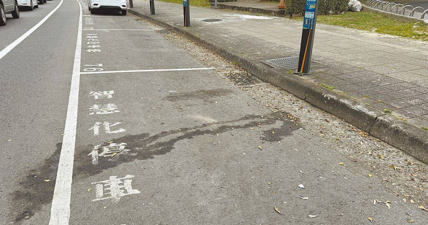 桃園市交通局今年底前將啟用1萬4200格智慧化停車格。（圖／中國時報蔡依珍攝）