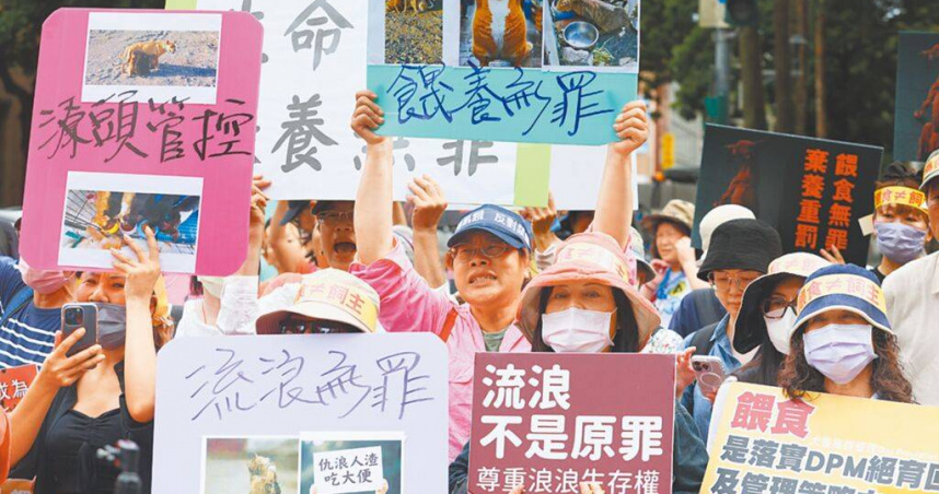 流浪動物是否可進行安樂死，常引發正反方民眾關注。圖為動保團體抗議禁餵食、落實安樂死等。（圖／本報資料照片）