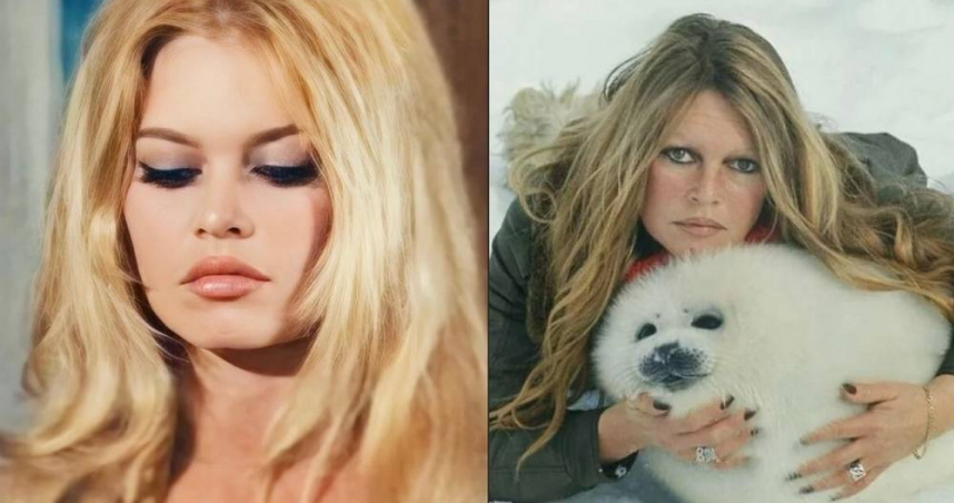 法國傳奇電影女星碧姬·芭杜（Brigitte Bardot）驚傳逝世，享耆壽91歲。（圖／翻攝自Instagram／brigittebardotpage）