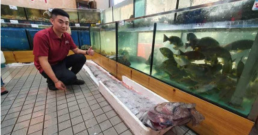 東部清晨才發生地震 超大地震魚在宜蘭現蹤