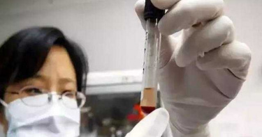 DNA親子鑑定「不是我的種」男子撞牆變瘋子 他更狠…砍斷妻雙腿