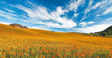 （圖／花蓮縣政府提供）