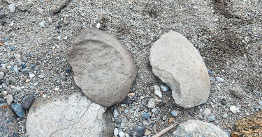 花蓮縣道193線北段正展開拓寬工程，工程人員上月在「加灣普查考古遺址」旁，發現零星的史前陶片及石片器。（圖／花蓮縣文化局提供／中國時報羅亦晽花蓮傳真）