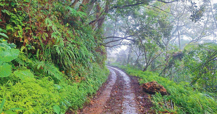 太魯閣國家公園大禮、大同部落聯外步道修復。（圖／太魯閣國家公園管理處提供／中國時報羅亦晽花蓮傳真）